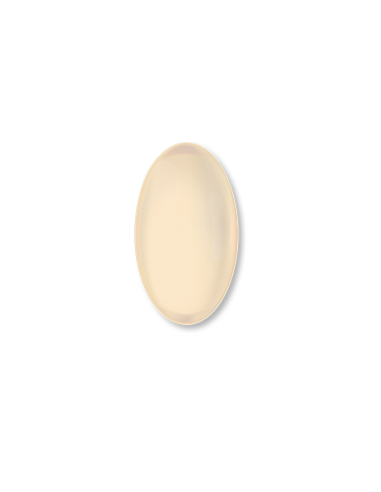 Vegan Omega 3+ IVB (60 cápsulas)