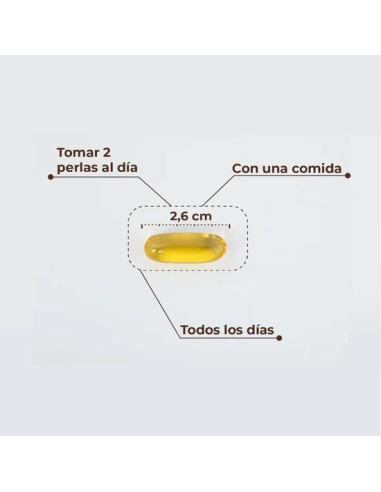 Omega 3 kobho (60 perlas)