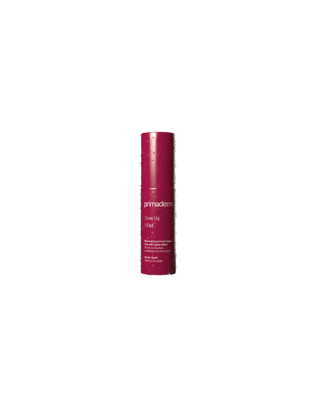 Glow Up Mist Primaderm (50ml)