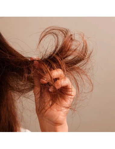 Sérum AGELESS Lazartigue Lazartigue (50ml)