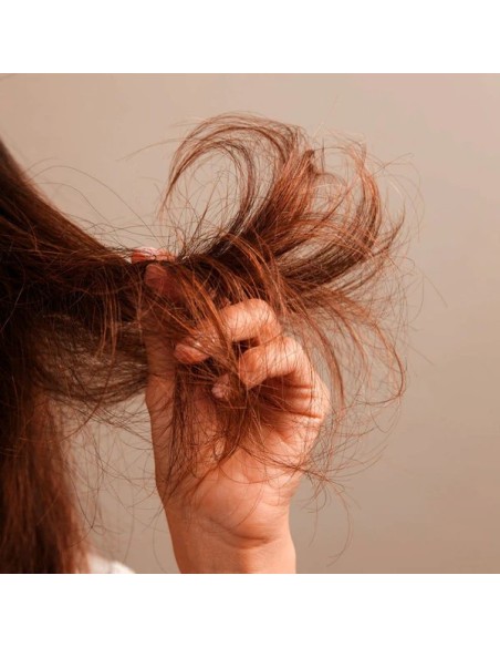 Sérum AGELESS Lazartigue Lazartigue (50ml) Sérum AGELESS Lazartigue Lazartigue (50ml)