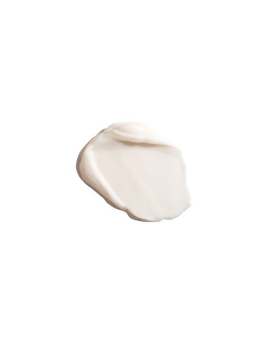 Ginseng Power Eye Erborian (15 ml)