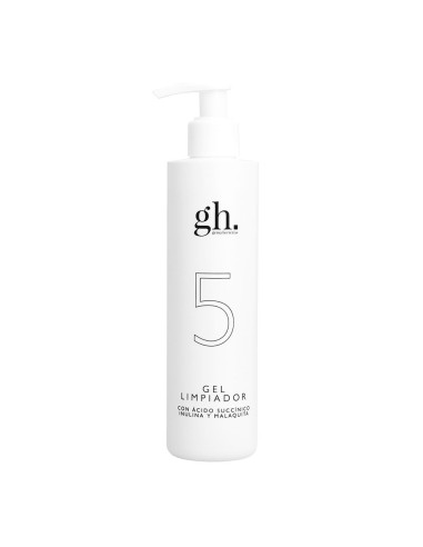 5 Gel Limpiador GH (250ml)