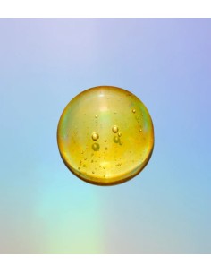 Elixir Reparador de Noche PATYKA (15ml) 2