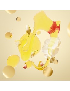 Huile Absolue PATYKA (50 ml) 2